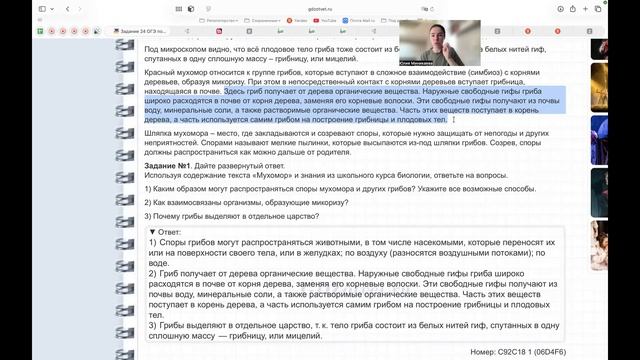 Задания 24 (экспресс)