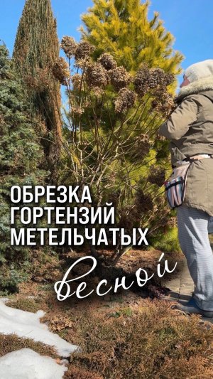 Первый рабочий день в саду