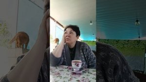 ДОБРЕЙШЕГО ☕😘❗ УТРЕННЯЯ ПЛАНЁРКА ☀️