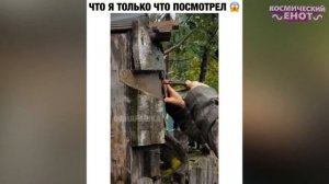 ЛУЧШИЕ ПРИКОЛЫ 2026 ржака до слез угар прикол   ПРИКОЛЮХА