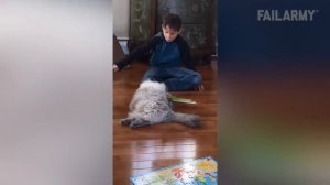 Animals Can Be Jerks! Funny Video _ FailArmy