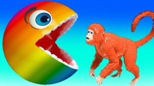 Игрушки с животными для детей. Веселое приключения с Пакман. Учим диких животных с пакман для детей