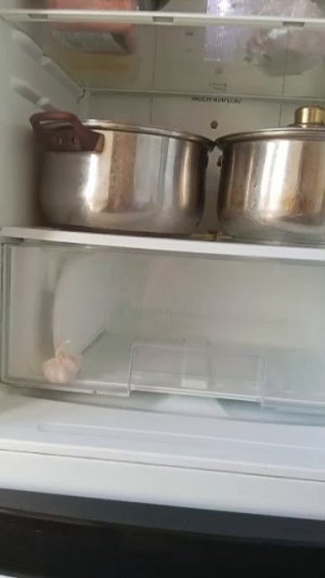 ворую еду 😋