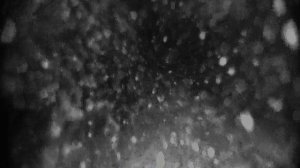 В ожидании подлещика