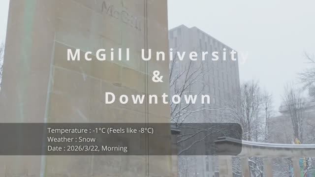 ❄️Snowing_Like_Crazy_in_Downtown_Montreal___Peaceful_Morning_Walk