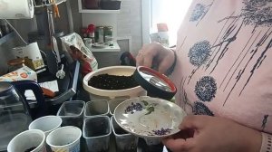 Делаю посадки на рассаду.