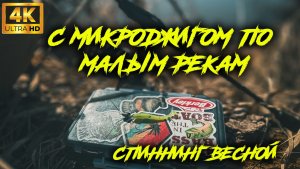 С микроджигом по малым рекам. Mifine microbite 1.5-10г и Daiwa legalis 2500s-xh спутники на рыбалке.