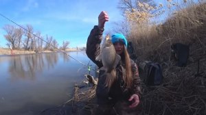 В ЭТИХ КОРЯГАХ ЖОР рыбы НА ПОПЛАВОК! ВЕСЕННЯЯ РЫБАЛКА