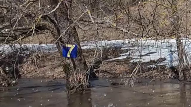 Вашана 28 марта 2026 цифра 7