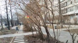 Весной травка зеленеет 🌱