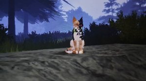 как и говорила большое обращение к вам!