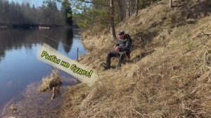 Март 26. Рыбы нет. Текуха и солнце. Весна набирает обороты. Принимаю солнечные ванны!