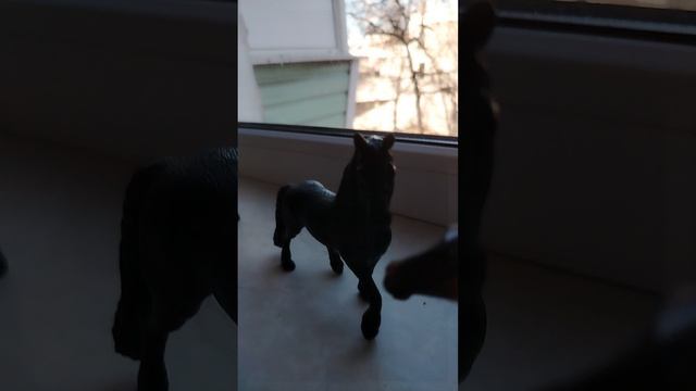 Конкурс на пиар