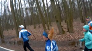 Установка кормушек Победитель Лыжня России