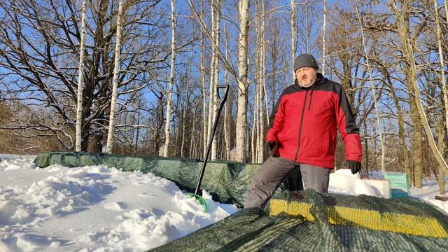 Ситуация на пасеке в феврале 2026 года