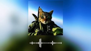 Александр Буйнов ВДВ с неба привет 🤙