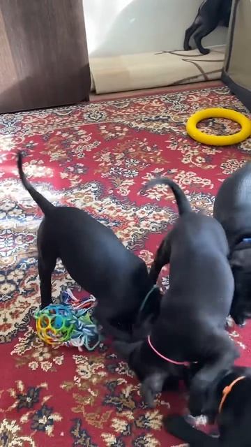 27 марта 2026 г.