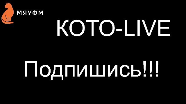 МЯУ ФМ - 29.03.26 #Кот #cat