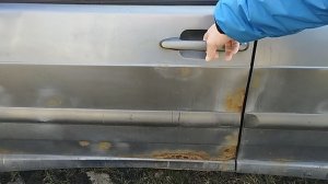 зацвели нарциссы и моя Пятнашка тоже зацвела