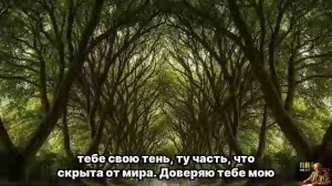 АНИМУС КРИЧИТ ВНУТРИ — Услышь и ЛЮБОВЬ придёт САМА