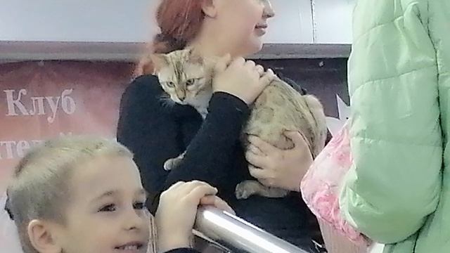 Пришли на выставку кошек. ( Выставка с 28 по 29, сегодня последний день)