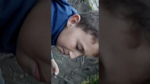 поймали муравьиную матку