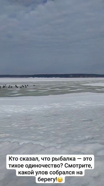 Финал сезона. Еще немного, и удочки до весны.