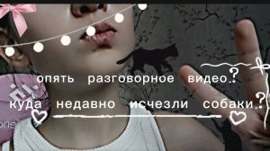 куда делись собаки? что такое Зазеркалье? почему Моти остался?