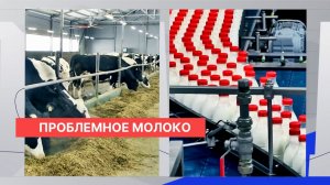В Нижегородской области выделено 1,5 миллиарда руб. на поддержку молочной отрасли в условиях кризиса