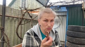 29-03-2026. Настроения нет но дела садовые не кто не отменял.