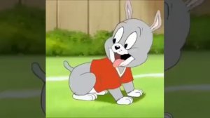 Том и Джерри