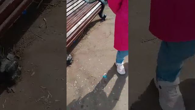 Настя аватарка