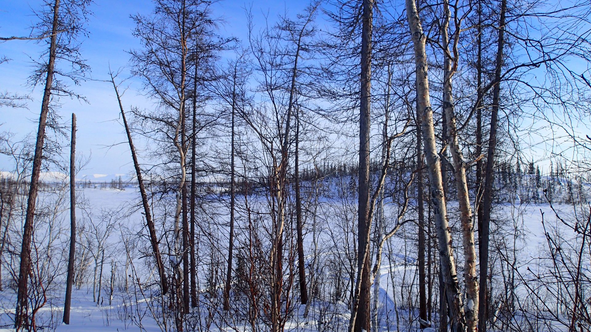 2026.03.26. Норильск - озеро Мелкое. Отдыхаем в избе!