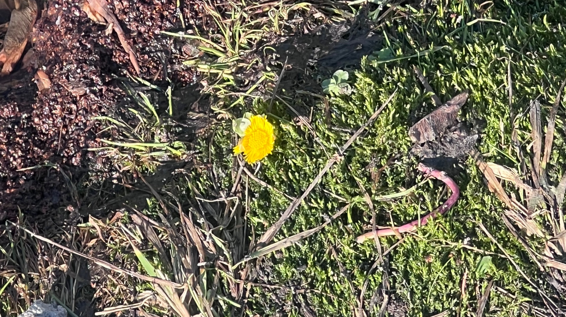 Ледовая обстановка в Москве. 30.03.2026 Бирюлевский пруд