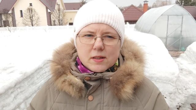 Вышла на участок. Обзор нашей бани! Голубая Ель перезимовала отлично