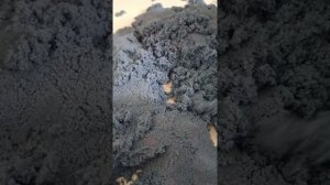 Приключение: Поиск Сокровищ.