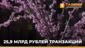 В 2025 году жители Херсонской области совершили свыше 25,5 млн транзакций