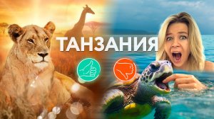 НАСТОЯЩАЯ ТАНЗАНИЯ: Честный топ мест. Занзибар и сафари за $$$ — что стоит денег, а что развод?