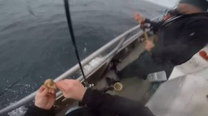 10 крупнейших уловов всех времен. Самые крупные рыбы пойманные человеком.