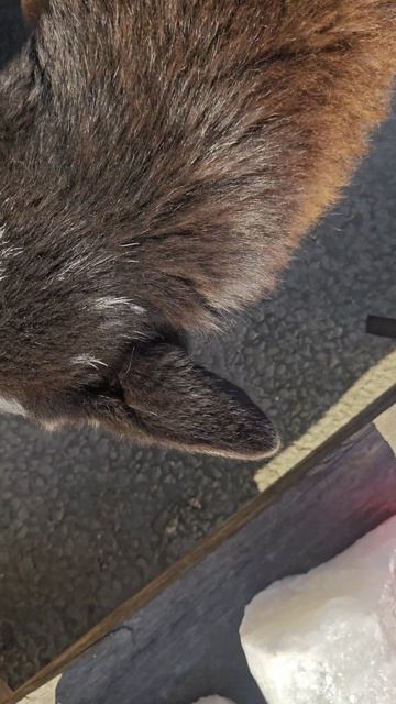 Едем за цыпочками🐤☀️🤗