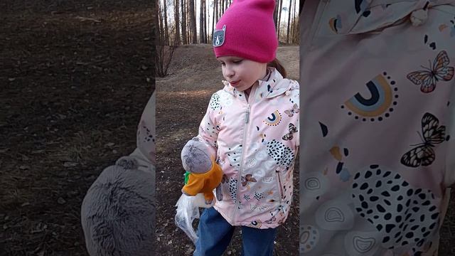 прогулка с басиком