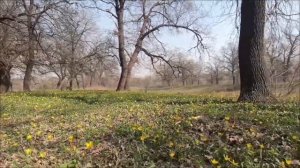 Сон на 1 апреля покажет ваши кармические задачи.