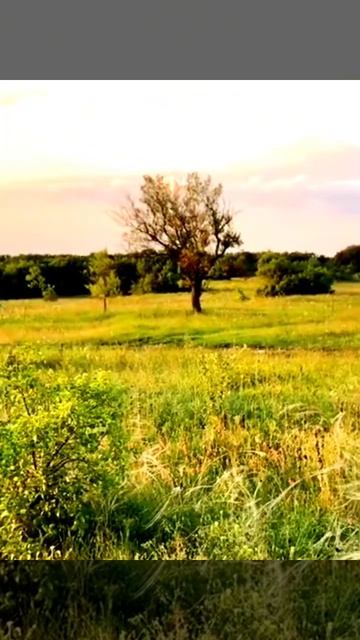 Когда мужчине женщина нужна.