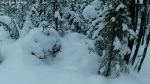 Зимовьё-дача.Ноябрь 2025-го.