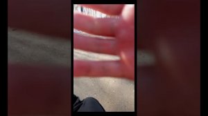 24 чеса в козьем парке