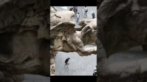 Вся правда о ГАРГУЛЬЯХ