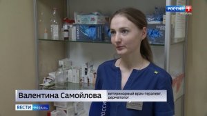 Клещи атакуют: в Рязани зафиксированы первые укусы домашних питомцев