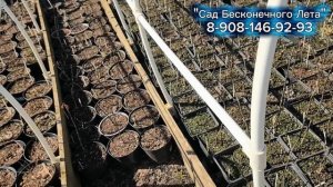 😱Опять провал весенних продаж!