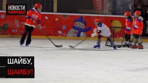 В Солнечногорске провели 9-ю бесплатную тренировку по хоккею для детей