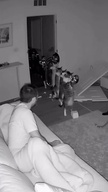 Пора бы и покушать…